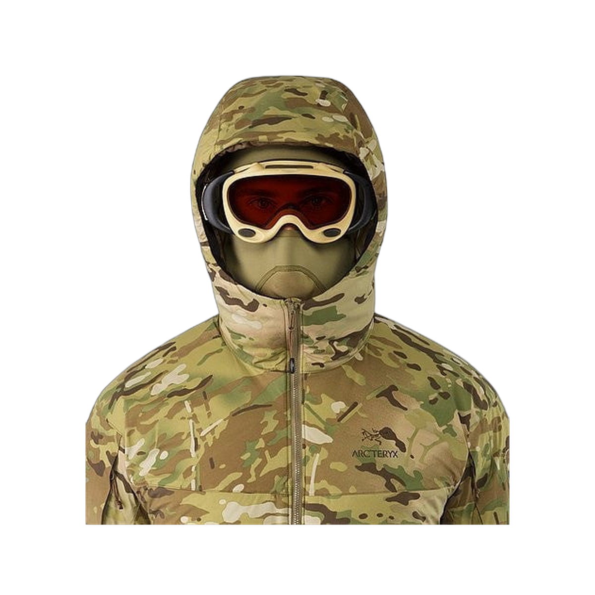 Arc'teryx Pro Cold WX Balaclava SV