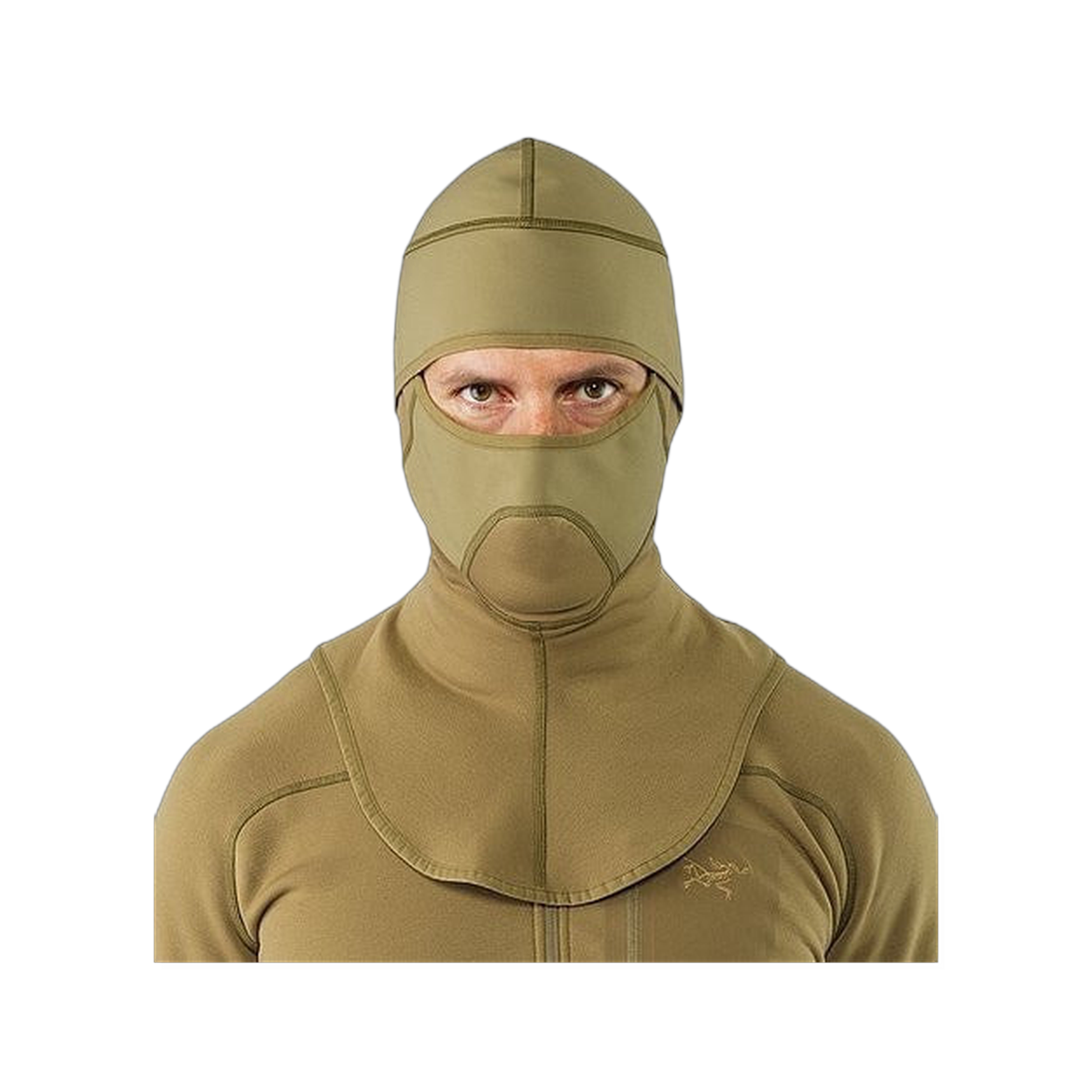 Arc'teryx Pro Cold WX Balaclava SV