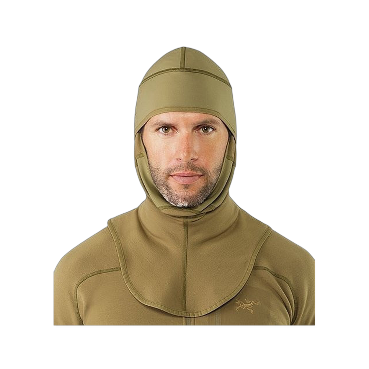 Arc'teryx Pro Cold WX Balaclava SV
