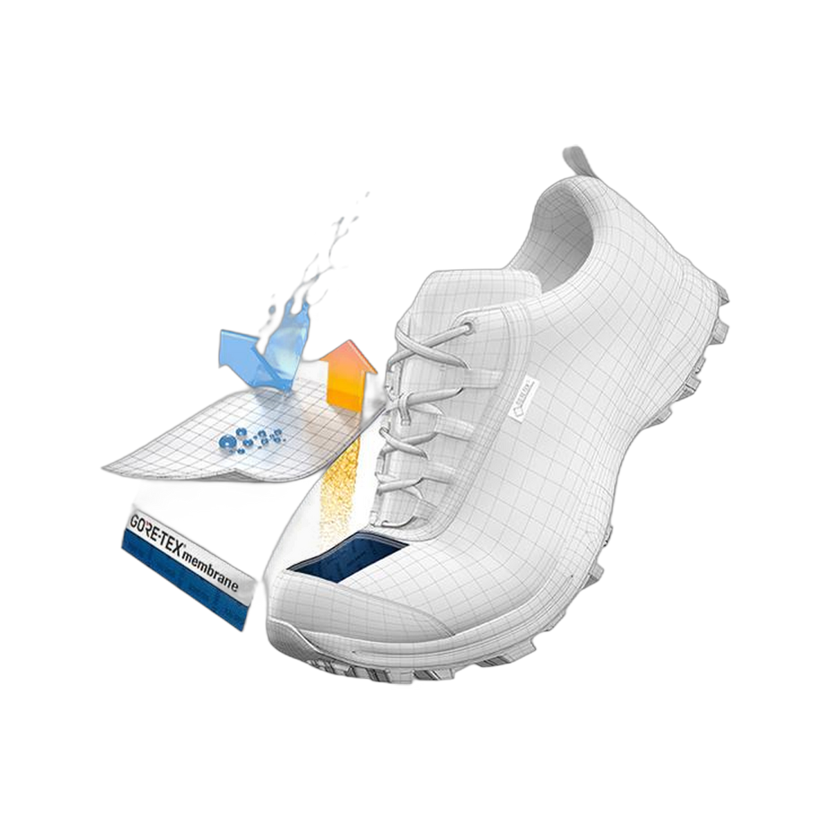 Salomon XA Pro 3D GTX